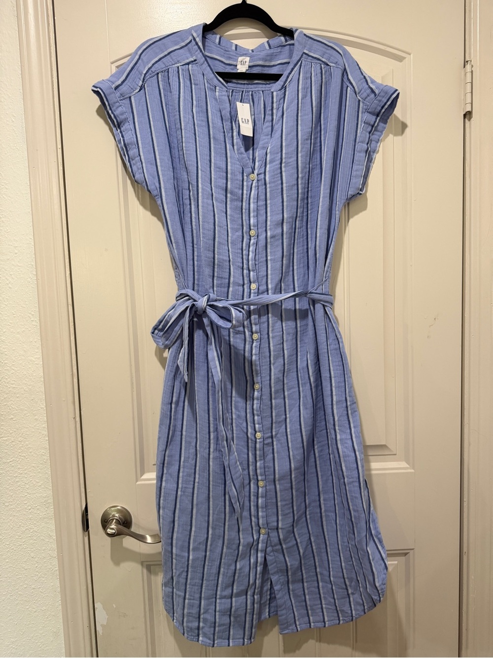GAP Light Blue and Navy Striped Button-Front Dress